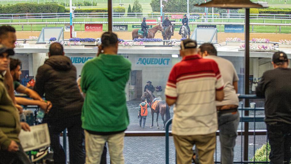 Americas Best Racing Sunday Selections, Noel Michaels handicapping, Belmont at the Big A, Aqueduct
